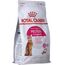 ROYAL CANIN PROTEIN EXIGENT CATS DRY FOOD ADULT VEGETABLE 400 G