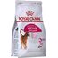 ROYAL CANIN AROMA EXIGENT CATS DRY FOOD 400 G ADULT FISH