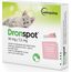 VETOQUINOL DRONSPOT - DEWORMING DROPS FOR CATS 0.5-2.5 KG