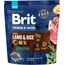 BRIT PREMIUM BY NATURE SENSITIVE LAMB&RICE - DRY DOG FOOD - 1 KG