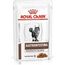 ROYAL CANIN INTESTINAL GASTRO MODERATE CAT 12X85G