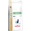 ROYAL CANIN DENTAL CATS DRY FOOD 1.5 KG ADULT CORN, POULTRY, RICE