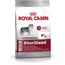 ROYAL CANIN MEDIUM STERILISED 3.5 KG ADULT CORN, POULTRY