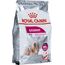 ROYAL CANIN CCN MINI EXIGENT - DRY FOOD FOR ADULT DOGS - 3KG