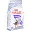 ROYAL CANIN CCN MINI STERILISED - DRY FOOD FOR ADULT DOGS - 3KG