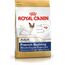 ROYAL CANIN FRENCH BULLDOG ADULT 3 KG