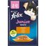 PURINA NESTLE FELIX FANSTASTIC JUNIOR - WET CAT FOOD - 85 G