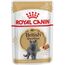 ROYAL CANIN BRITISH SHORTHAIR PACKET 12X85G