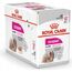 ROYAL CANIN EXIGENT WET DOG FOOD PÂTÉ 12X85 G