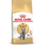 ROYAL CANIN BRITISH SHORTHAIR ADULT CATS DRY FOOD 4 KG