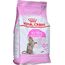 ROYAL CANIN KITTEN STERILISED CATS DRY FOOD 3.5 KG POULTRY