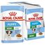 ROYAL CANIN SHN MINI PUPPY IN SAUCE - WET PUPPY FOOD - 12X85G
