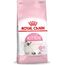 ROYAL CANIN KITTEN CATS DRY FOOD 2 KG