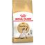 ROYAL CANIN SIAMESE CATS DRY FOOD 2 KG ADULT POULTRY