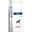 ROYAL CANIN RENAL 2 KG ADULT