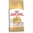 ROYAL CANIN SPHYNX DRY CAT FOOD 2 KG