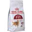ROYAL CANIN REGULAR FIT 32 CATS DRY FOOD 400 G ADULT MAIZE, POULTRY