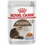 ROYAL CANIN FHN AGEING 12+ IN JELLY - WET FOOD FOR SENIOR CATS - 12X85G