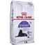 ROYAL CANIN STERILISED 7+ CATS DRY FOOD SENIOR 10 KG