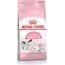 ROYAL CANIN MOTHER & BABYCAT CATS DRY FOOD 2 KG