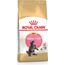 ROYAL CANIN MAINE COON KITTEN CATS DRY FOOD POULTRY,RICE 400 G