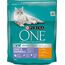 PURINA NESTLE PURINA ONE COAT & HAIRBALL RICH IN CHICKEN CATS DRY FOOD 800 G ADULT