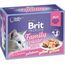 BRIT PREMIUM FAMILY PLATE FILLETS IN JELLY MIX OF FLAVORS - WET FOOD FOR CATS - 12X85G