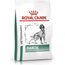 ROYAL CANIN DOG DIABETIC VHN - DRY DOG FOOD - 1,5KG