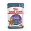 ROYAL CANIN FCN APPETITE CONTROL JELLY - WET FOOD FOR ADULT CATS - 12X85G