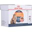 ROYAL CANIN INTENSE BEAUTY WET CAT FOOD CHUNKS IN SAUCE 12X85 G