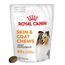 ROYAL CANIN SUPPLEMENTS DOG SKIN & COAT ADULT - DOG VITAMINS - 240G