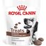 ROYAL CANIN DOG GASTROINTESTINAL TREATS - DOG TREAT - 230G