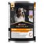 PURINA NESTLE PURINA PRO PLAN EVERYDAY NUTRITION ALL SIZE ADULT TURKEY IN JELLY - WET DOG FOOD - 400G