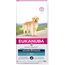 EUKANUBA GOLDEN RETRIEVER CHICKEN 12 KG