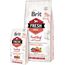 BRIT FRESH BEEF WITH PUMPKIN PUPPY LARGE GROWTH & JOINTS - DRY DOG FOOD - 12 KG