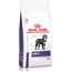 ROYAL CANIN ADULT LARGE - DRY FOOD 13 KG