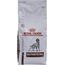 ROYAL CANIN INTESTINAL GASTRO - DRY DOG FOOD 15KG